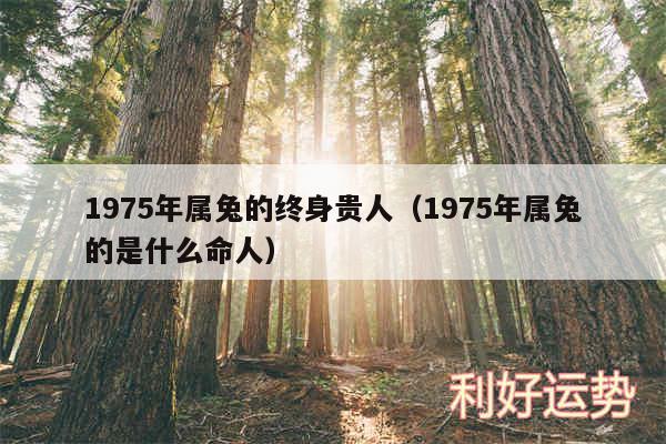 1975年属兔的终身贵人以及1975年属兔的是什么命人