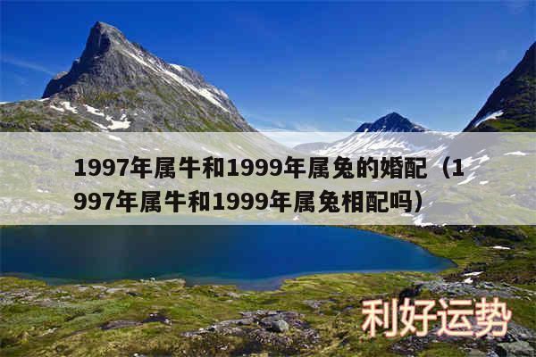 1997年属牛和1999年属兔的婚配以及1997年属牛和1999年属兔相配吗