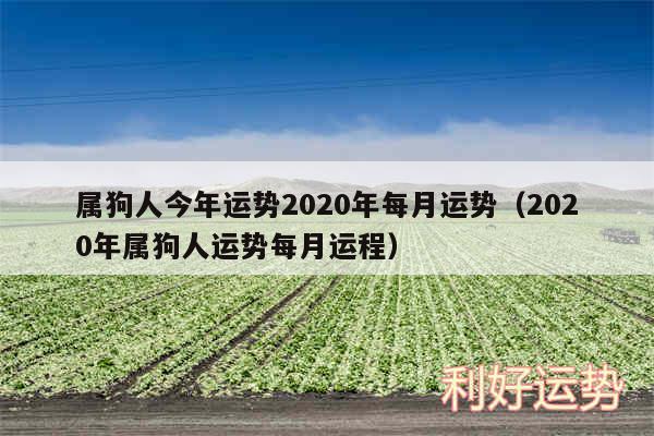 属狗人今年运势2020年每月运势以及2020年属狗人运势每月运程