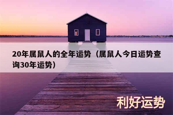 20年属鼠人的全年运势以及属鼠人今日运势查询30年运势