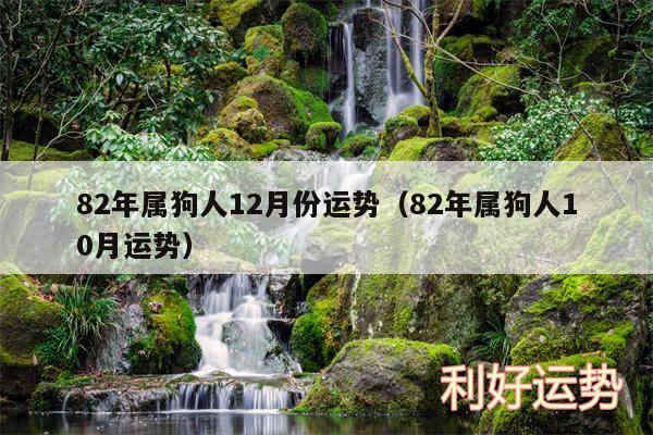 82年属狗人12月份运势以及82年属狗人10月运势