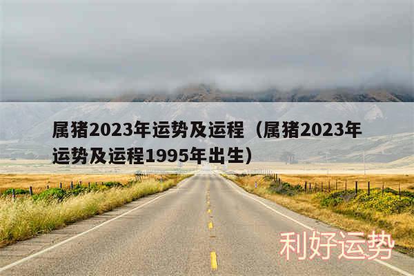 属猪2024年运势及运程以及属猪2024年运势及运程1995年出生