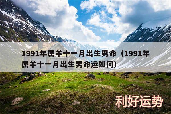 1991年属羊十一月出生男命以及1991年属羊十一月出生男命运如何