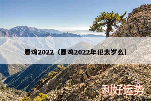 属鸡2024以及属鸡2024年犯太岁么