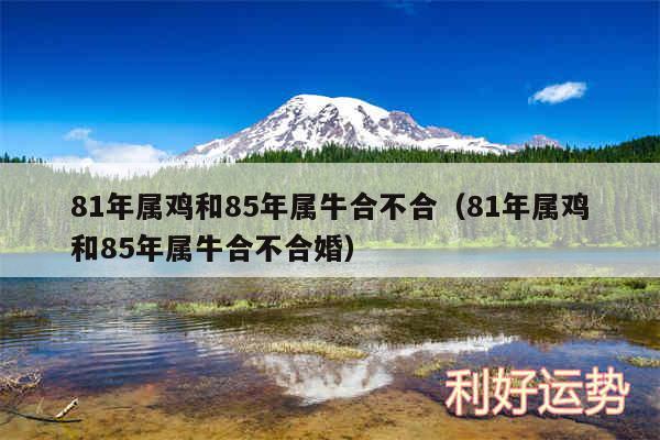 81年属鸡和85年属牛合不合以及81年属鸡和85年属牛合不合婚