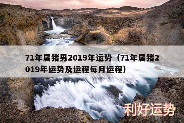 71年属猪男2019年运势以及71年属猪2019年运势及运程每月运程