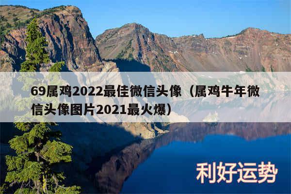 69属鸡2024最佳微信头像以及属鸡牛年微信头像图片2024最火爆