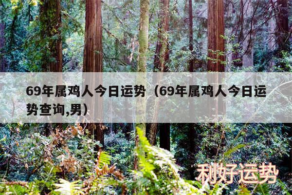 69年属鸡人今日运势以及69年属鸡人今日运势查询,男