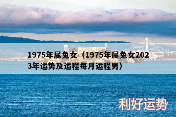 1975年属兔女以及1975年属兔女2024年运势及运程每月运程男