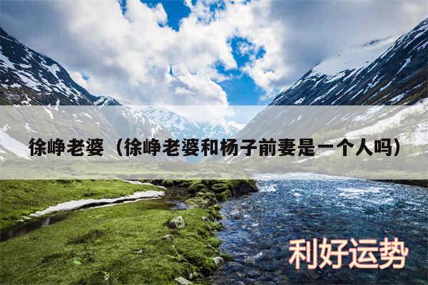 徐峥老婆以及徐峥老婆和杨子前妻是一个人吗