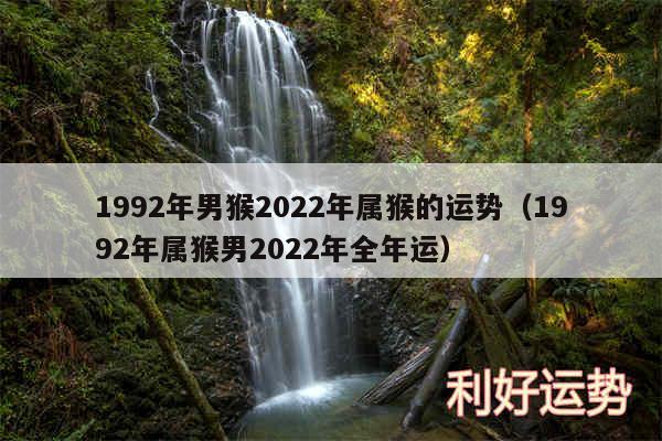 1992年男猴2024年属猴的运势以及1992年属猴男2024年全年运