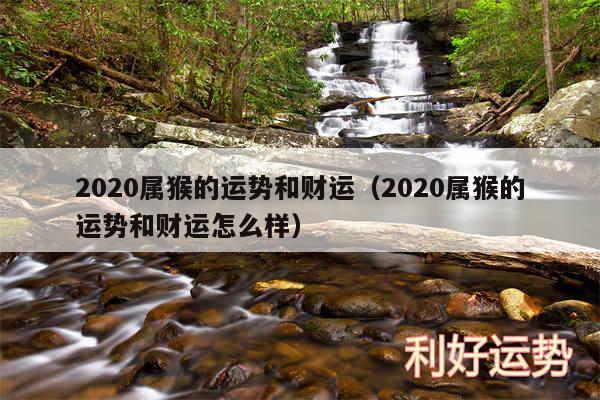 2020属猴的运势和财运以及2020属猴的运势和财运怎么样