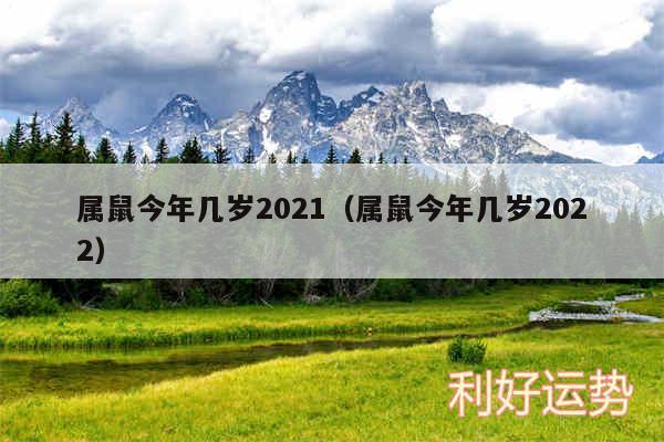 属鼠今年几岁2024以及属鼠今年几岁2024