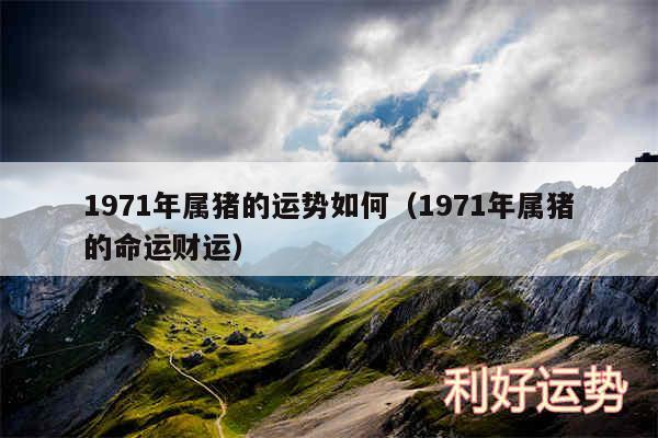 1971年属猪的运势如何以及1971年属猪的命运财运