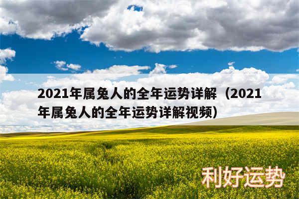 2024年属兔人的全年运势详解以及2024年属兔人的全年运势详解视频