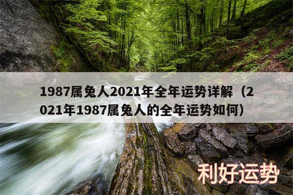 1987属兔人2024年全年运势详解以及2024年1987属兔人的全年运势如何