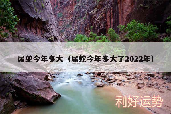 属蛇今年多大以及属蛇今年多大了2024年