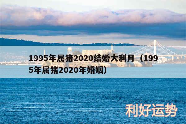 1995年属猪2020结婚大利月以及1995年属猪2020年婚姻