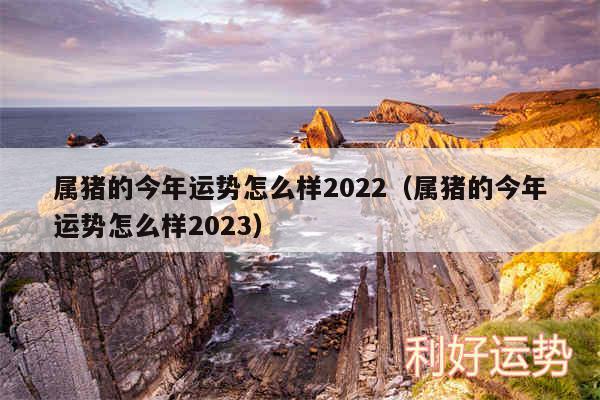 属猪的今年运势怎么样2024以及属猪的今年运势怎么样2024