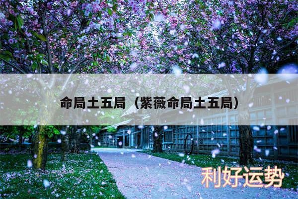 命局土五局以及紫薇命局土五局