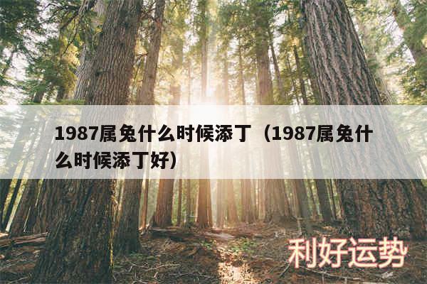 1987属兔什么时候添丁以及1987属兔什么时候添丁好