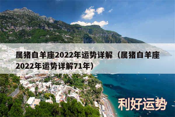 属猪白羊座2024年运势详解以及属猪白羊座2024年运势详解71年