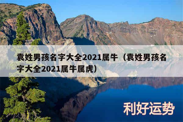 袁姓男孩名字大全2024属牛以及袁姓男孩名字大全2024属牛属虎