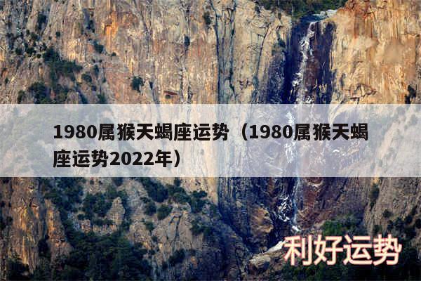 1980属猴天蝎座运势以及1980属猴天蝎座运势2024年