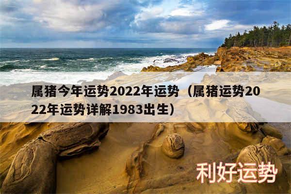 属猪今年运势2024年运势以及属猪运势2024年运势详解1983出生