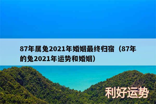 87年属兔2024年婚姻最终归宿以及87年的兔2024年运势和婚姻