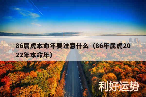 86属虎本命年要注意什么以及86年属虎2024年本命年