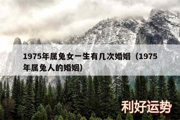 1975年属兔女一生有几次婚姻以及1975年属兔人的婚姻