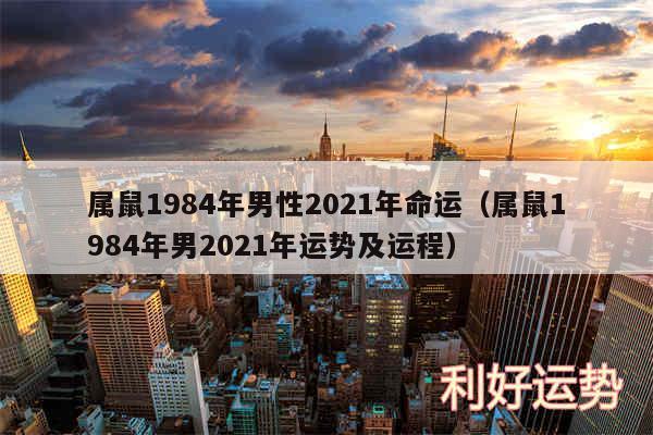 属鼠1984年男性2024年命运以及属鼠1984年男2024年运势及运程