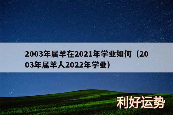 2003年属羊在2024年学业如何以及2003年属羊人2024年学业