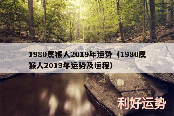 1980属猴人2019年运势以及1980属猴人2019年运势及运程