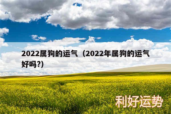 2024属狗的运气以及2024年属狗的运气好吗?