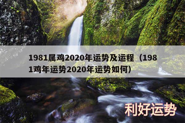 1981属鸡2020年运势及运程以及1981鸡年运势2020年运势如何