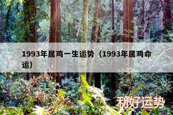 1993年属鸡一生运势以及1993年属鸡命运