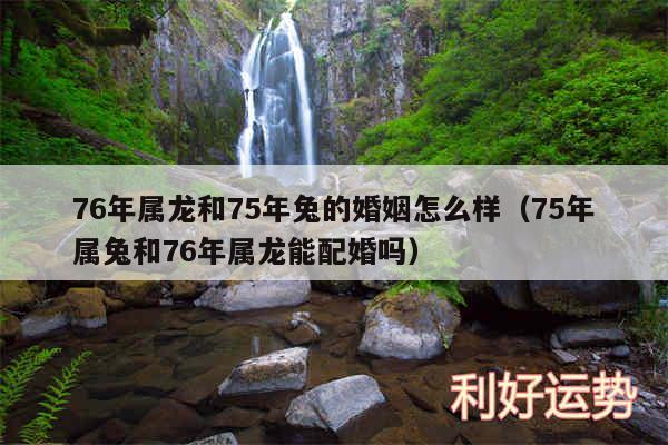 76年属龙和75年兔的婚姻怎么样以及75年属兔和76年属龙能配婚吗