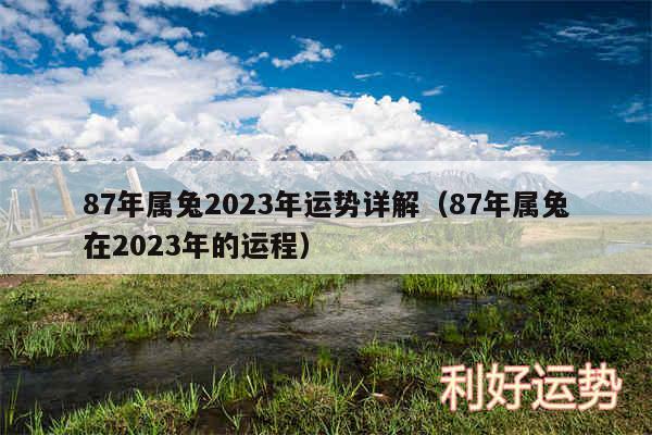 87年属兔2024年运势详解以及87年属兔在2024年的运程