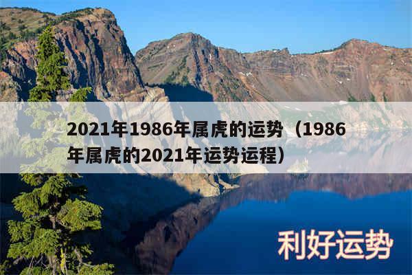 2024年1986年属虎的运势以及1986年属虎的2024年运势运程