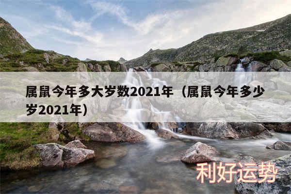 属鼠今年多大岁数2024年以及属鼠今年多少岁2024年