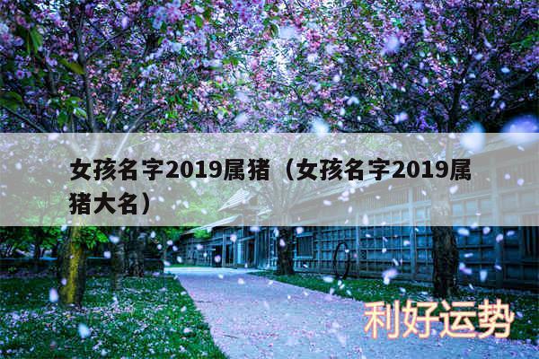 女孩名字2019属猪以及女孩名字2019属猪大名