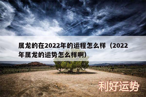 属龙的在2024年的运程怎么样以及2024年属龙的运势怎么样啊