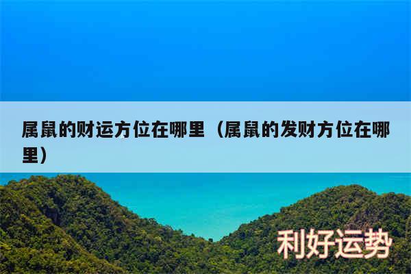 属鼠的财运方位在哪里以及属鼠的发财方位在哪里