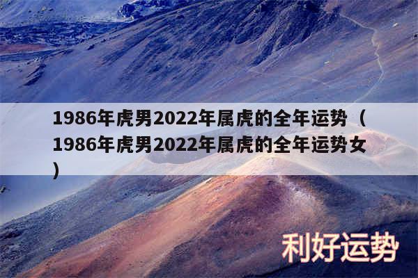 1986年虎男2024年属虎的全年运势以及1986年虎男2024年属虎的全年运势女