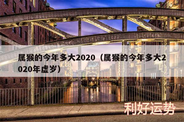 属猴的今年多大2020以及属猴的今年多大2020年虚岁