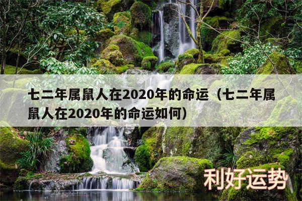 七二年属鼠人在2020年的命运以及七二年属鼠人在2020年的命运如何