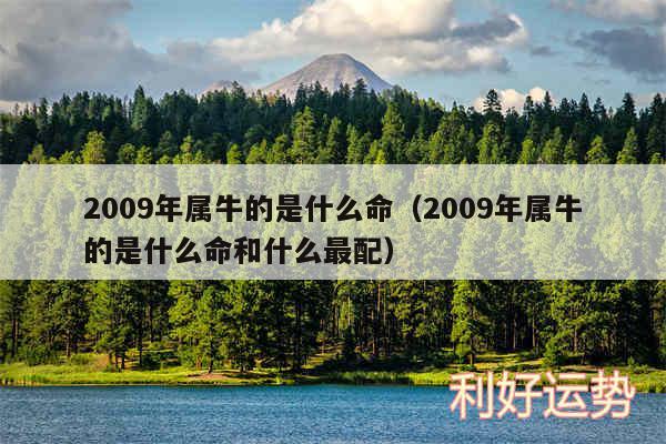 2009年属牛的是什么命以及2009年属牛的是什么命和什么最配