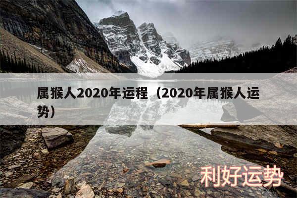 属猴人2020年运程以及2020年属猴人运势